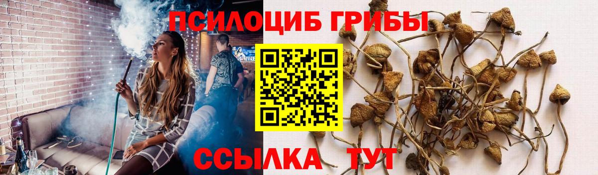 Псилоцибиновые грибы Psilocybine cubensis  Псилоцибиновые грибы Psilocybine cubensis  Фролово  Вход с VPN 